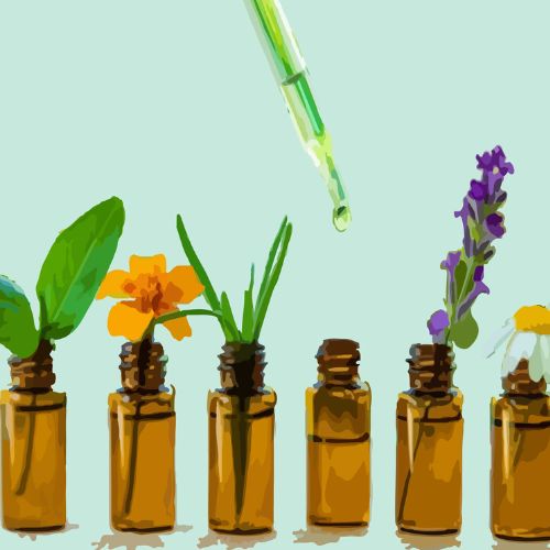Korean Skincare with Plant Extracts